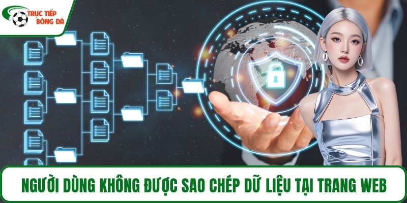 Người dùng không được sao chép dữ liệu tại trang web